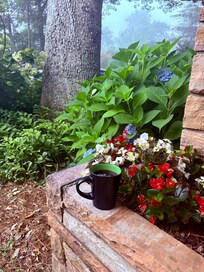 The grounds were beautiful with several flowering plants.