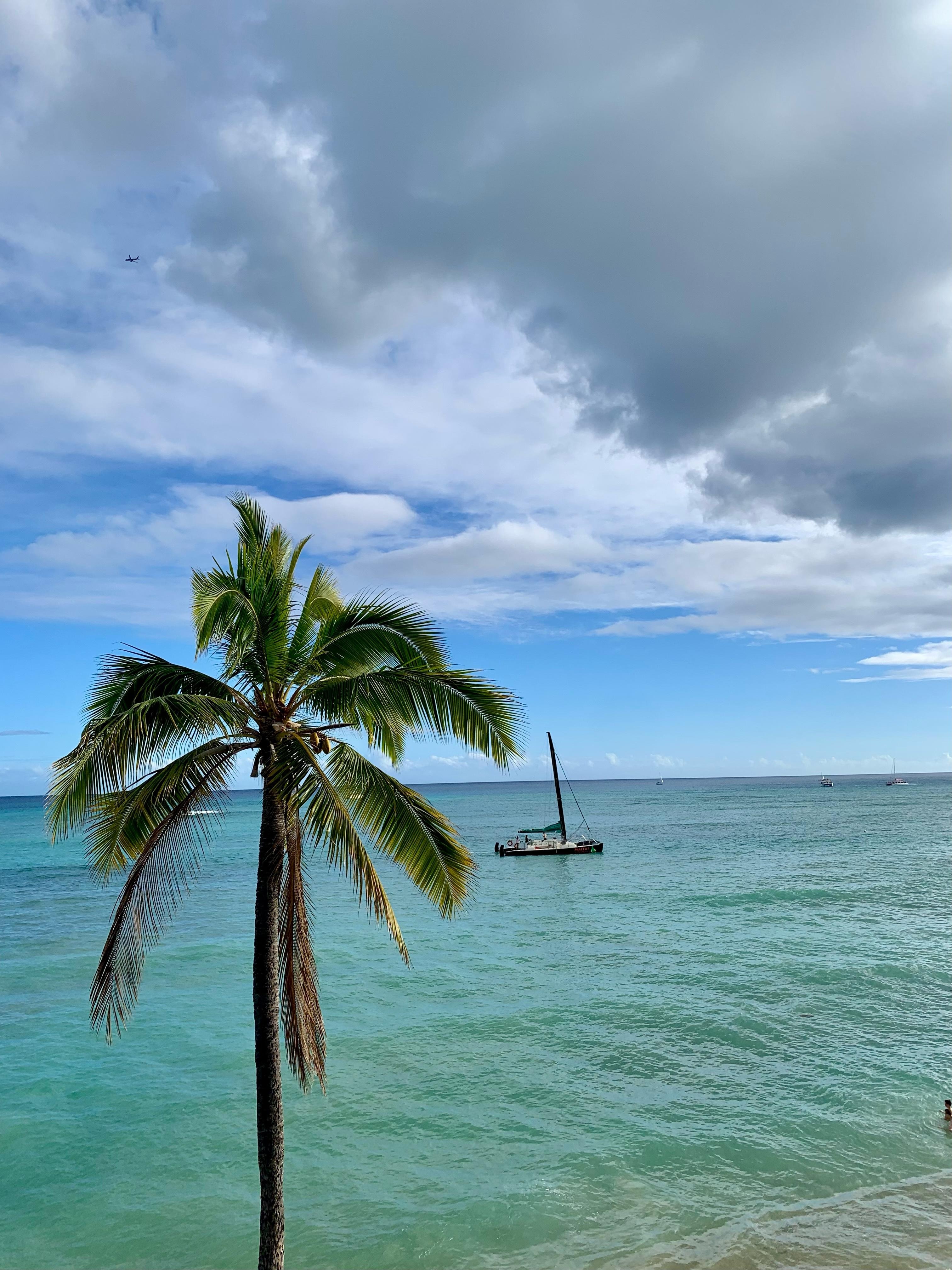 View from beachside of hotel