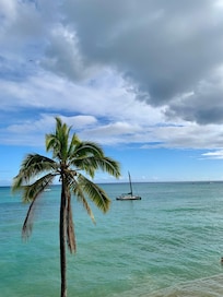 View from beachside of hotel