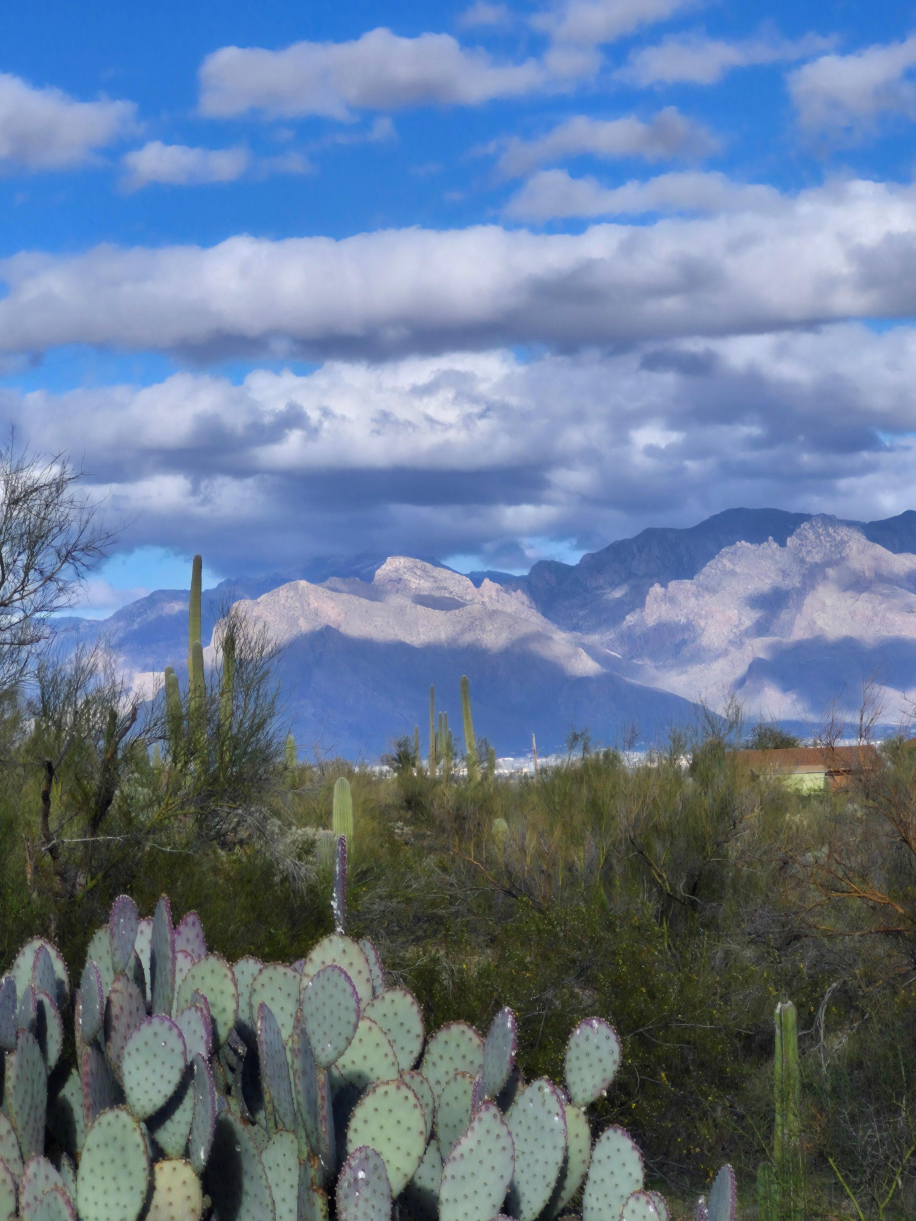 Just a great view from your patio when you're relaxing.
