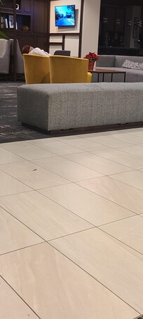 Someone sleeping in the lobby. I believe she was an employee