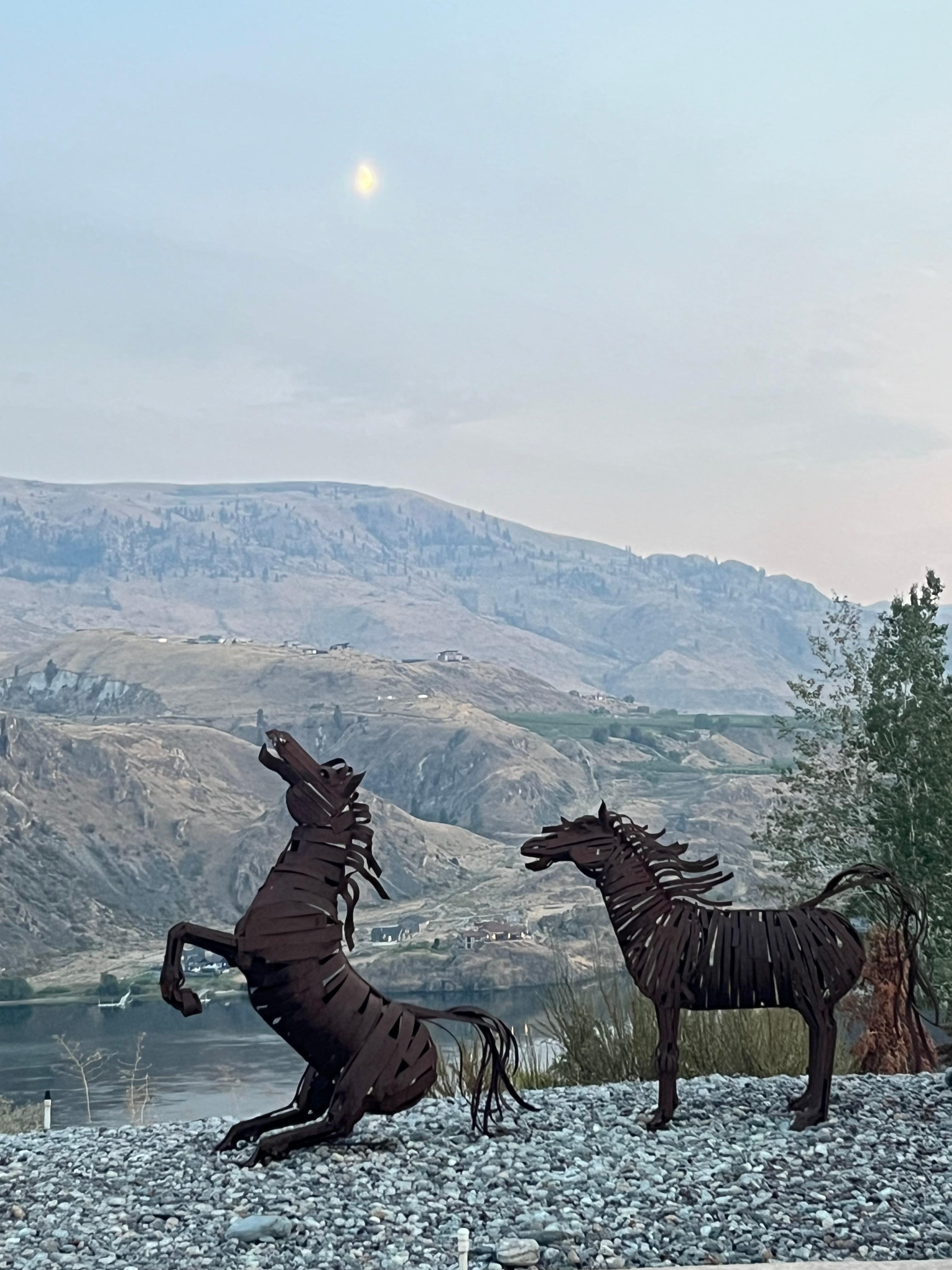 Lovely moonrise from pool deck