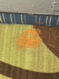 Vomit in the hallway