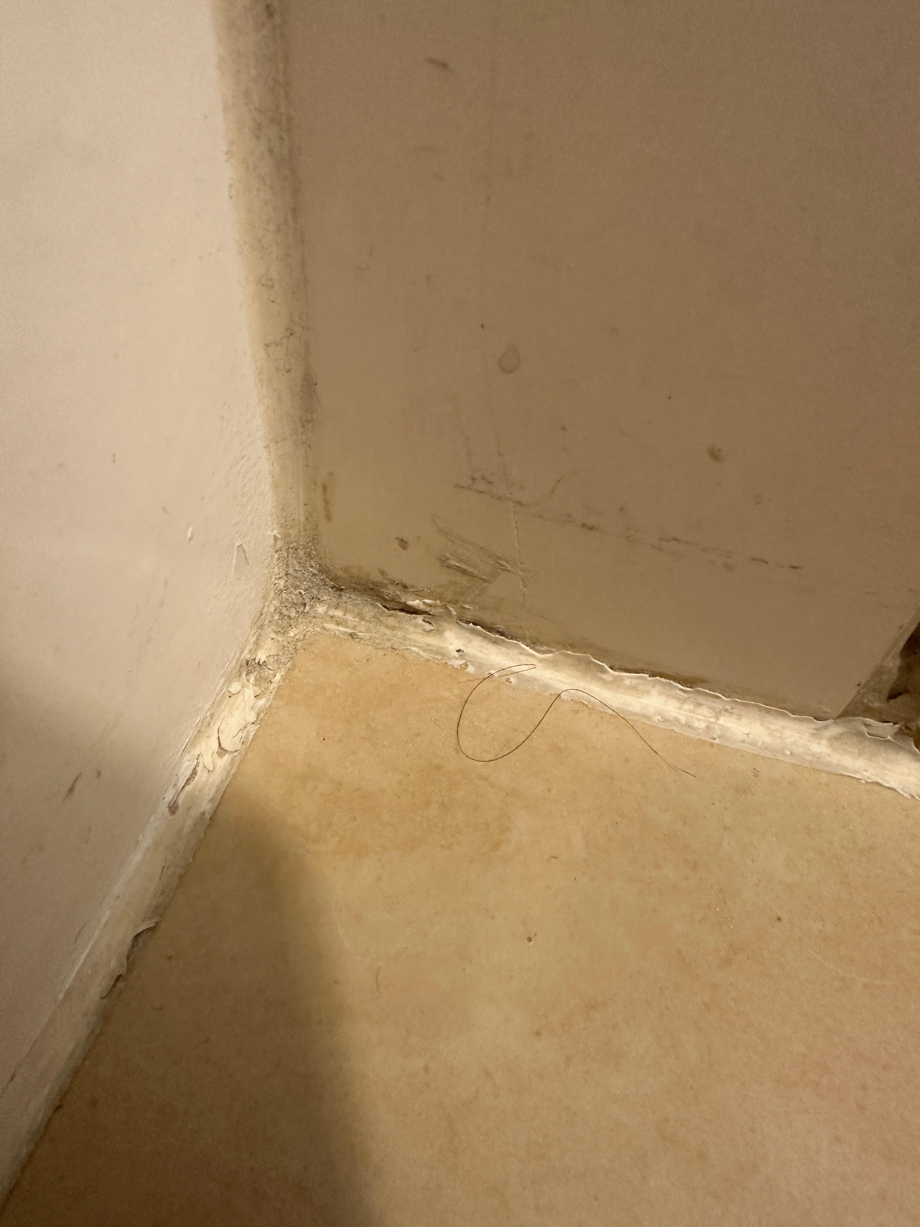 Disgusting BATHROOM floors with hair