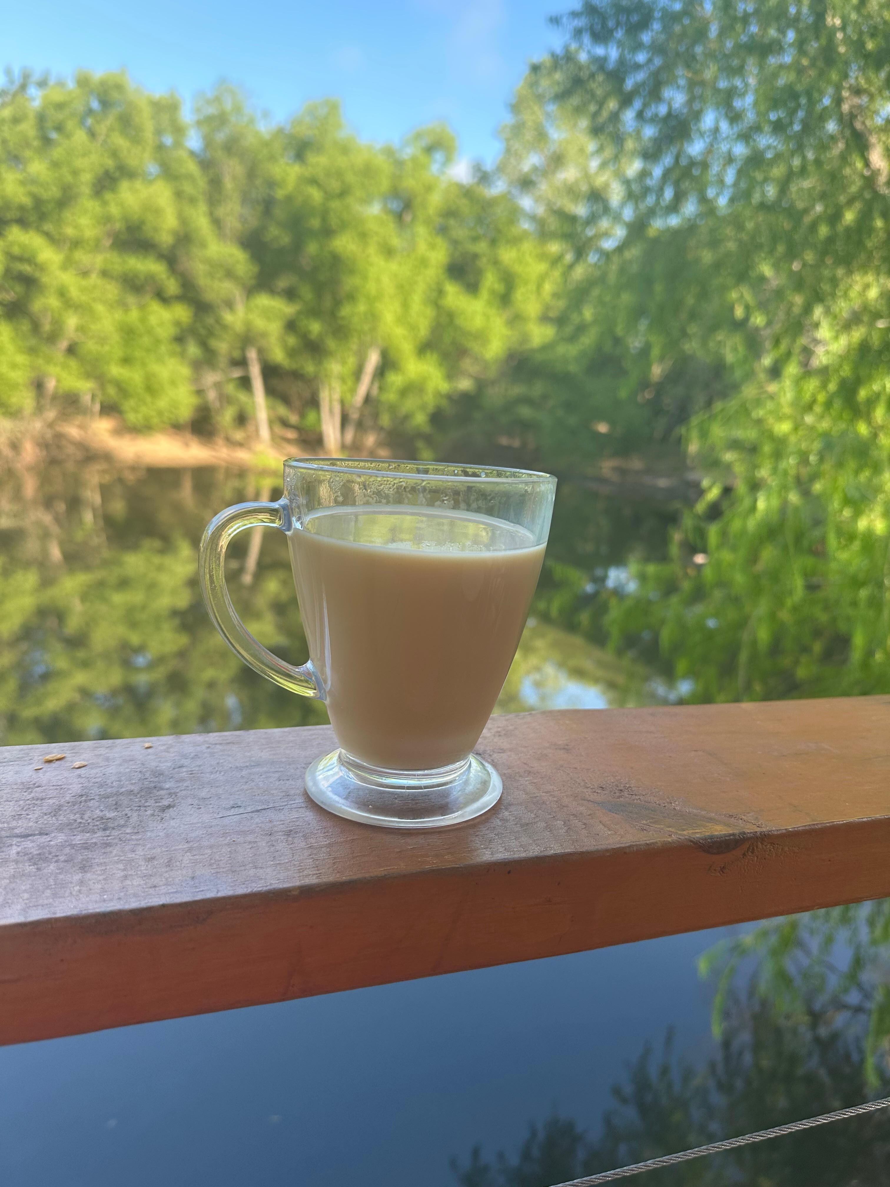 Relaxing morning, drinking coffee and watching the turtles and fish 