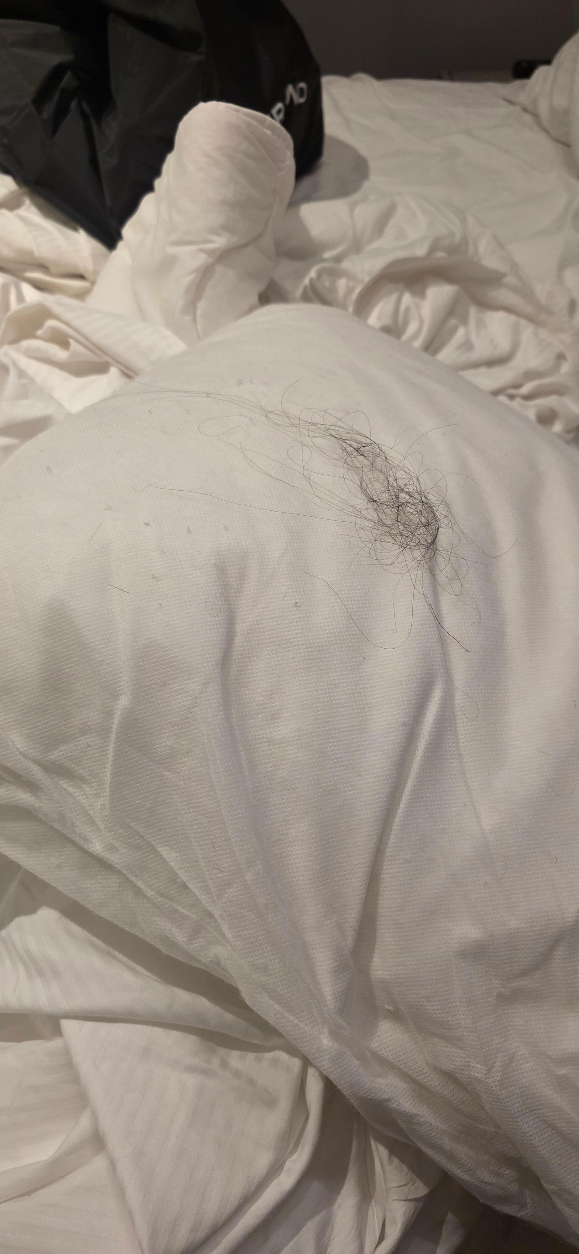 Took out the pillow case and found a bunch of hair