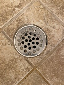 Hair in shower at check in