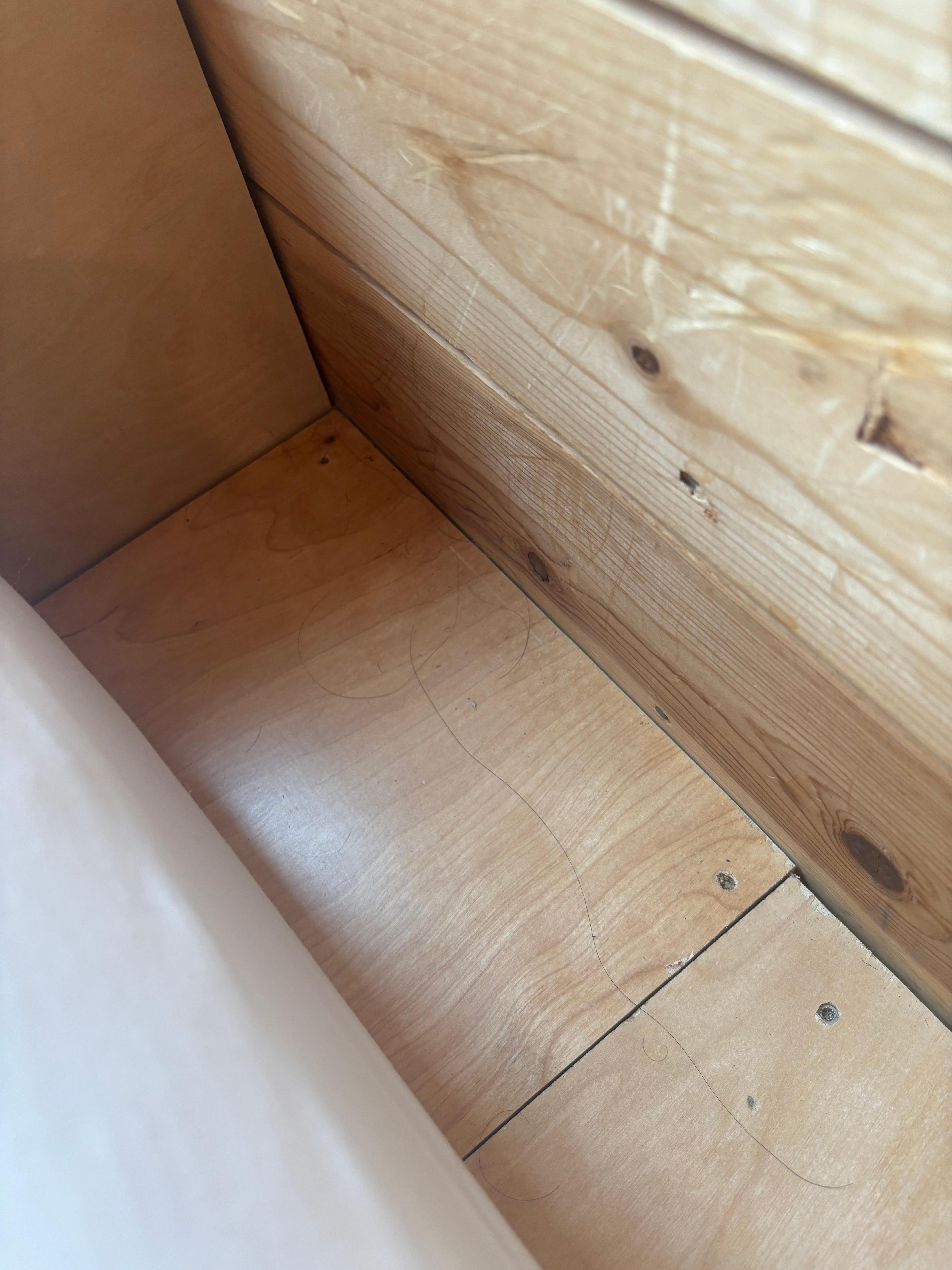 The ladies hair. Neither of us have long black hair. 