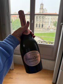 View from the window looking out at the park and Palace.