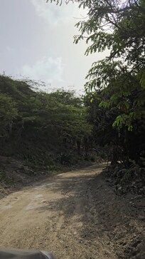 Secluded Entry