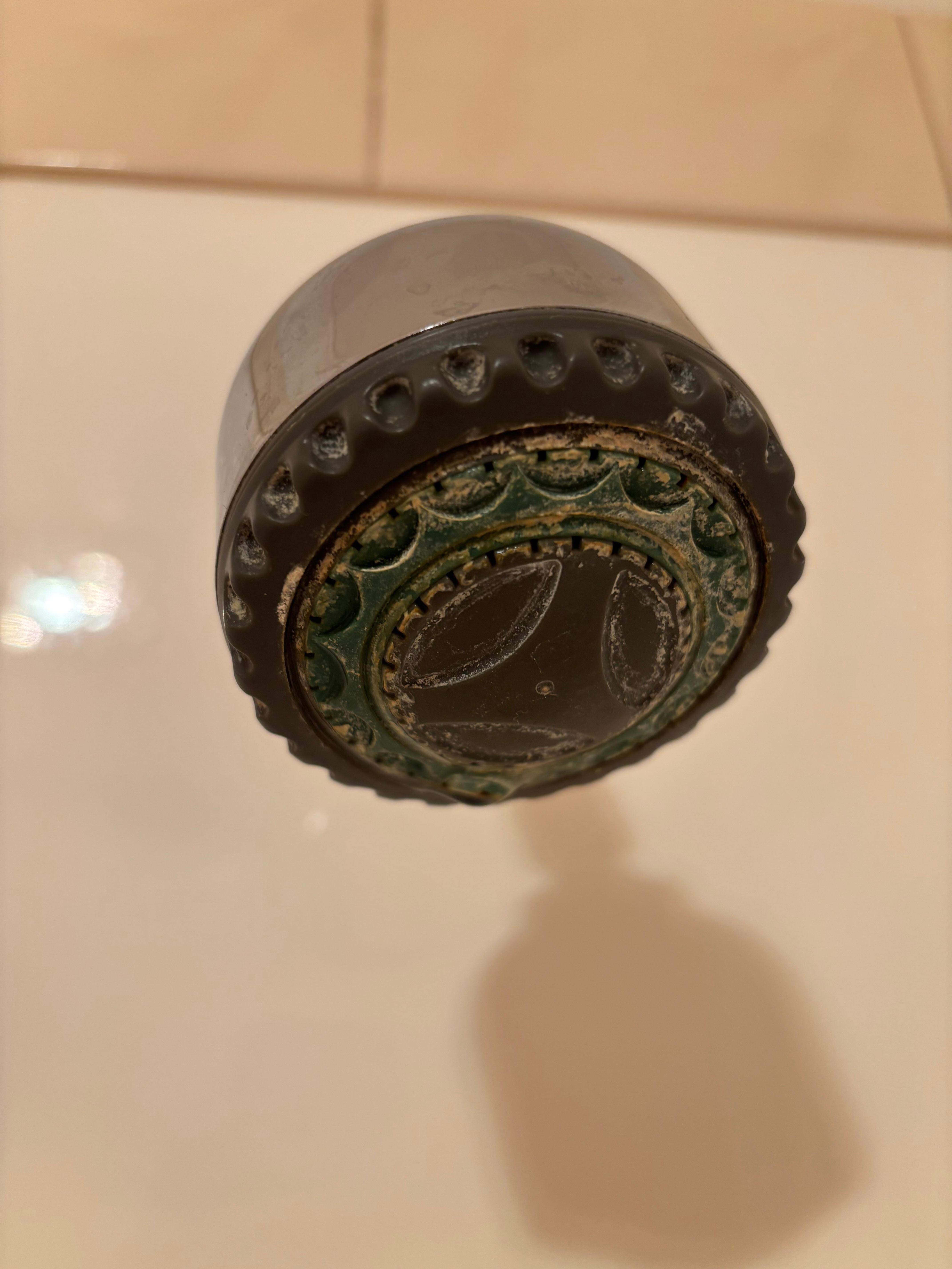 Filthy shower head (2nd room)