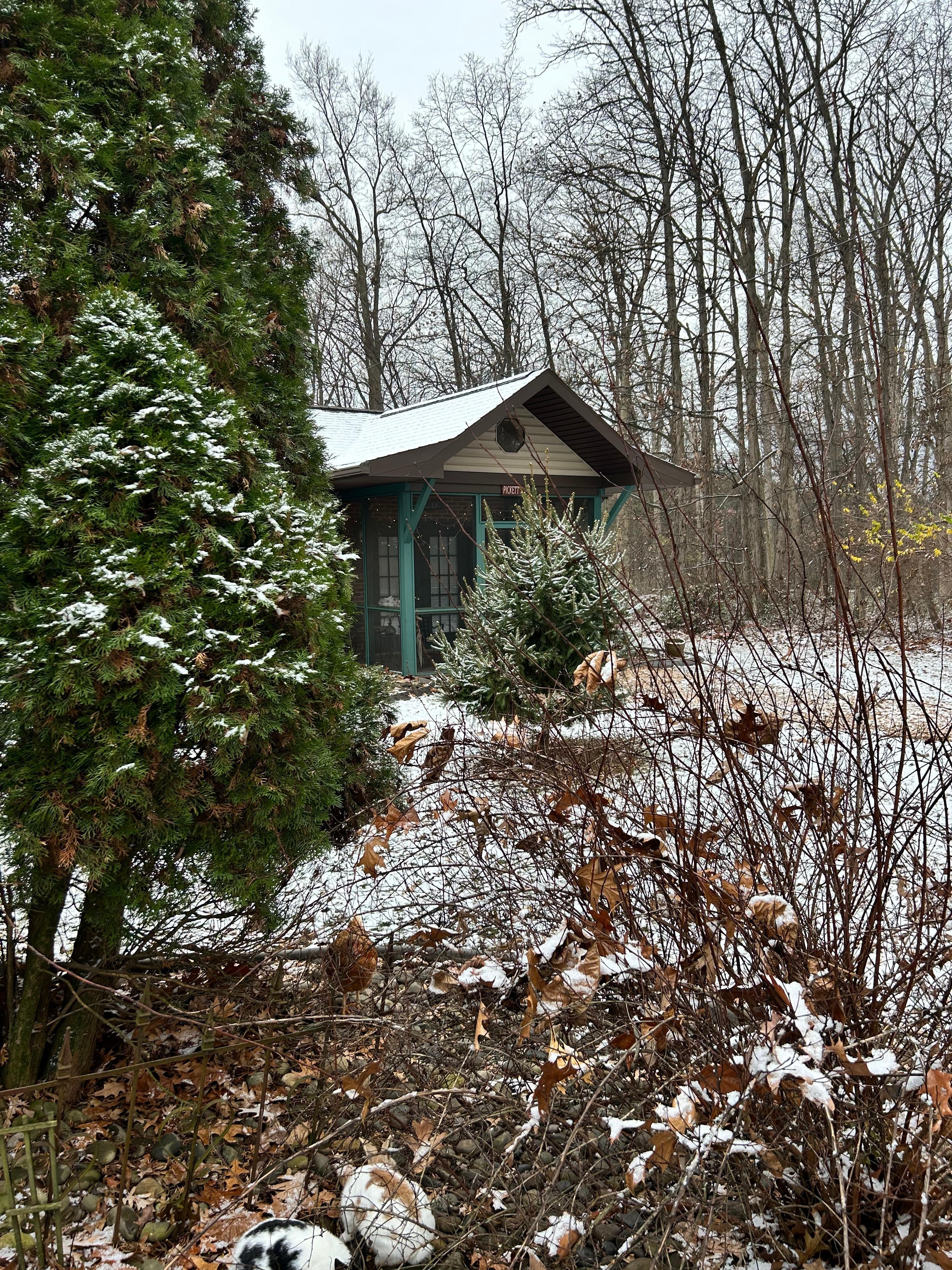 So peaceful tucked in the woods