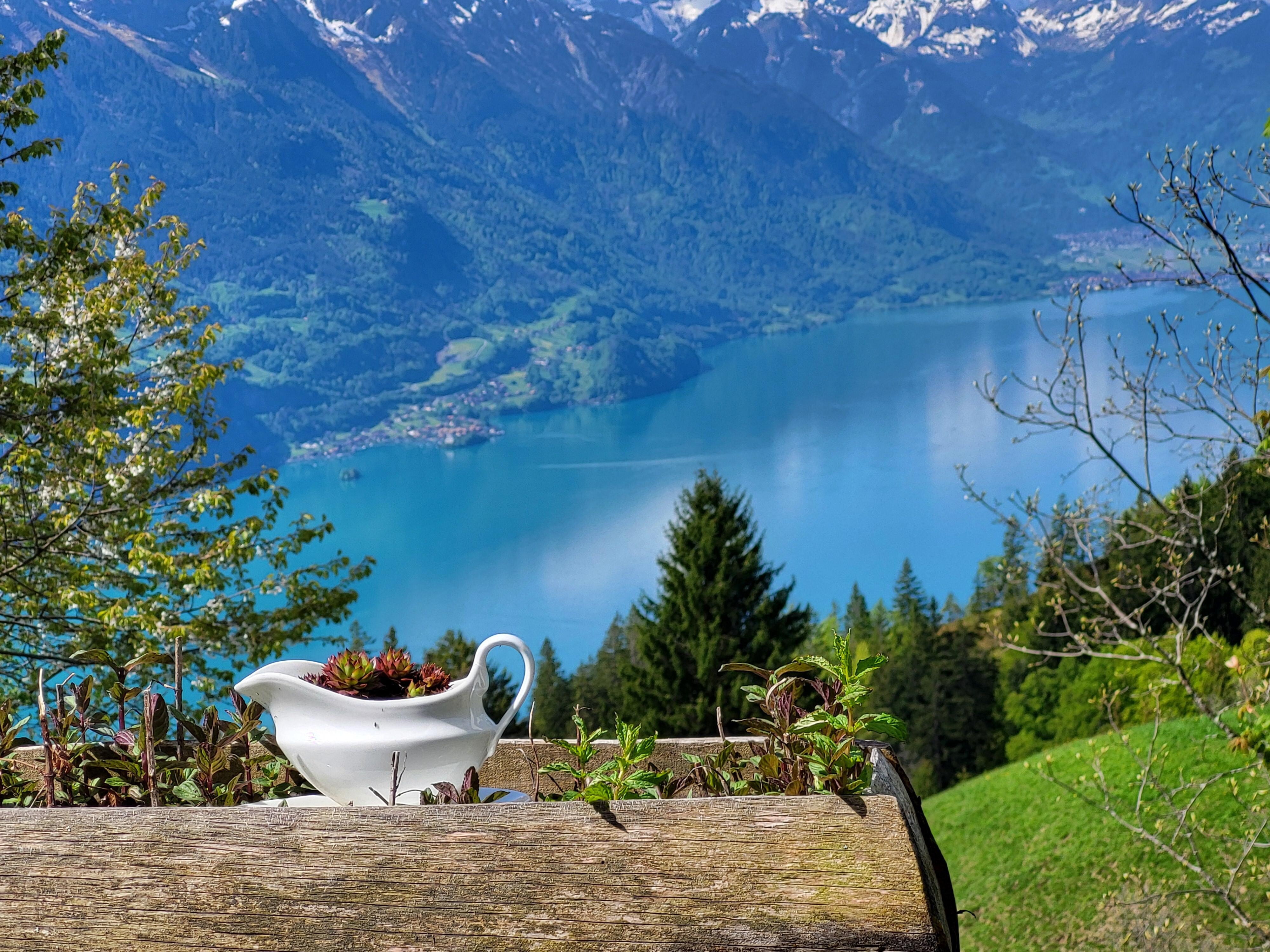Nur hübsch auch auf der Blanalp Brienzerrothorn