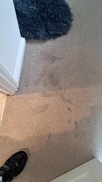 Annexe carpet