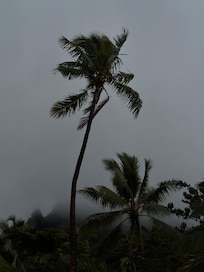 Beautiful landscapes, beautiful sunsets.