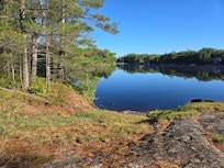 View from the cottage
