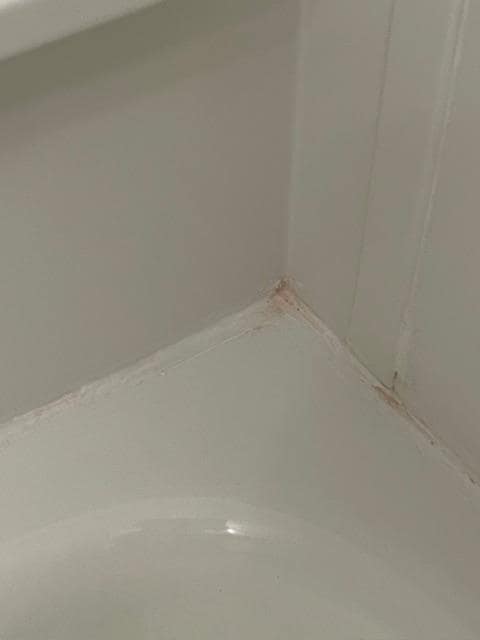 One area of the tub. Orange mould