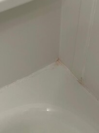 One area of the tub. Orange mould