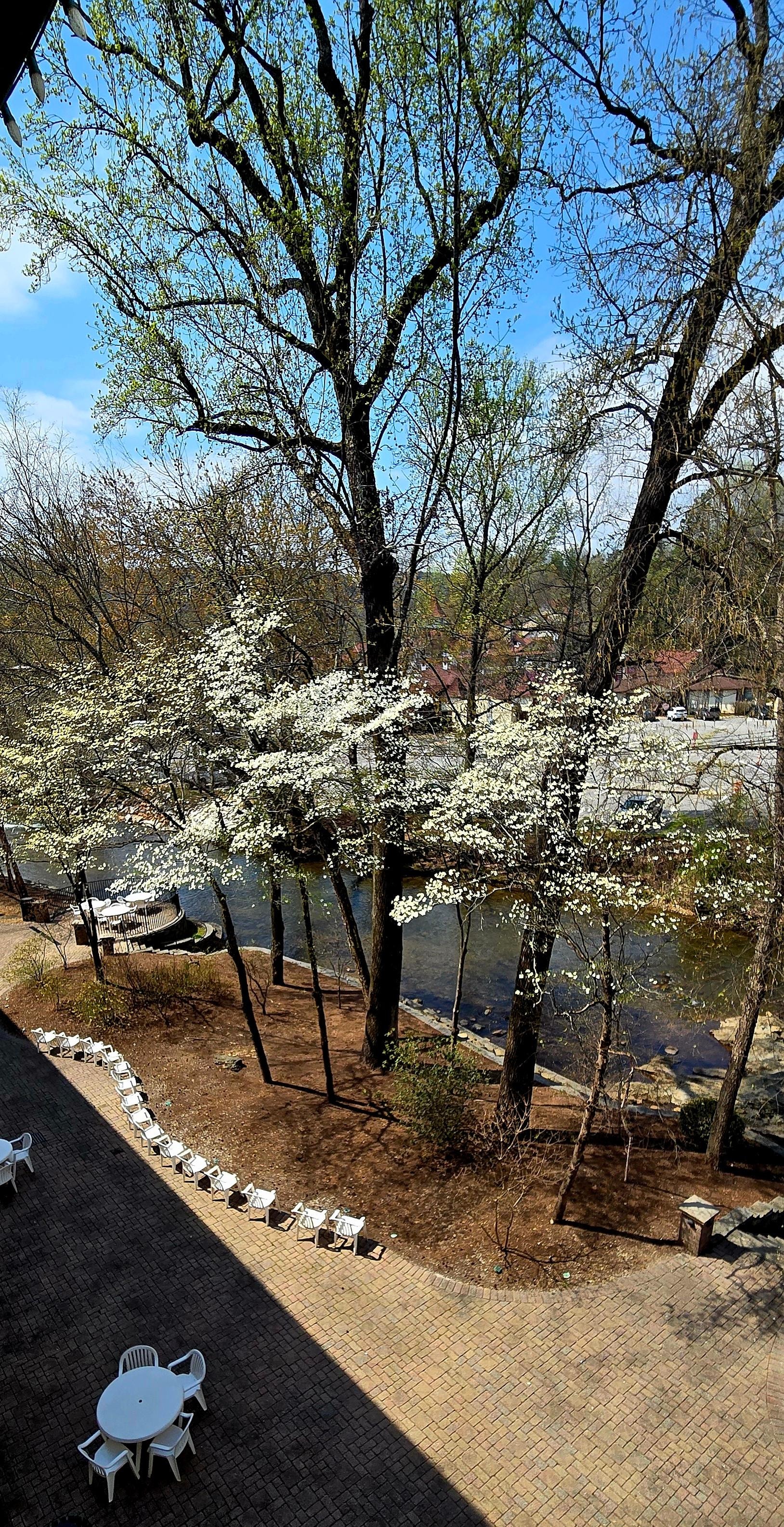 View from our balcony