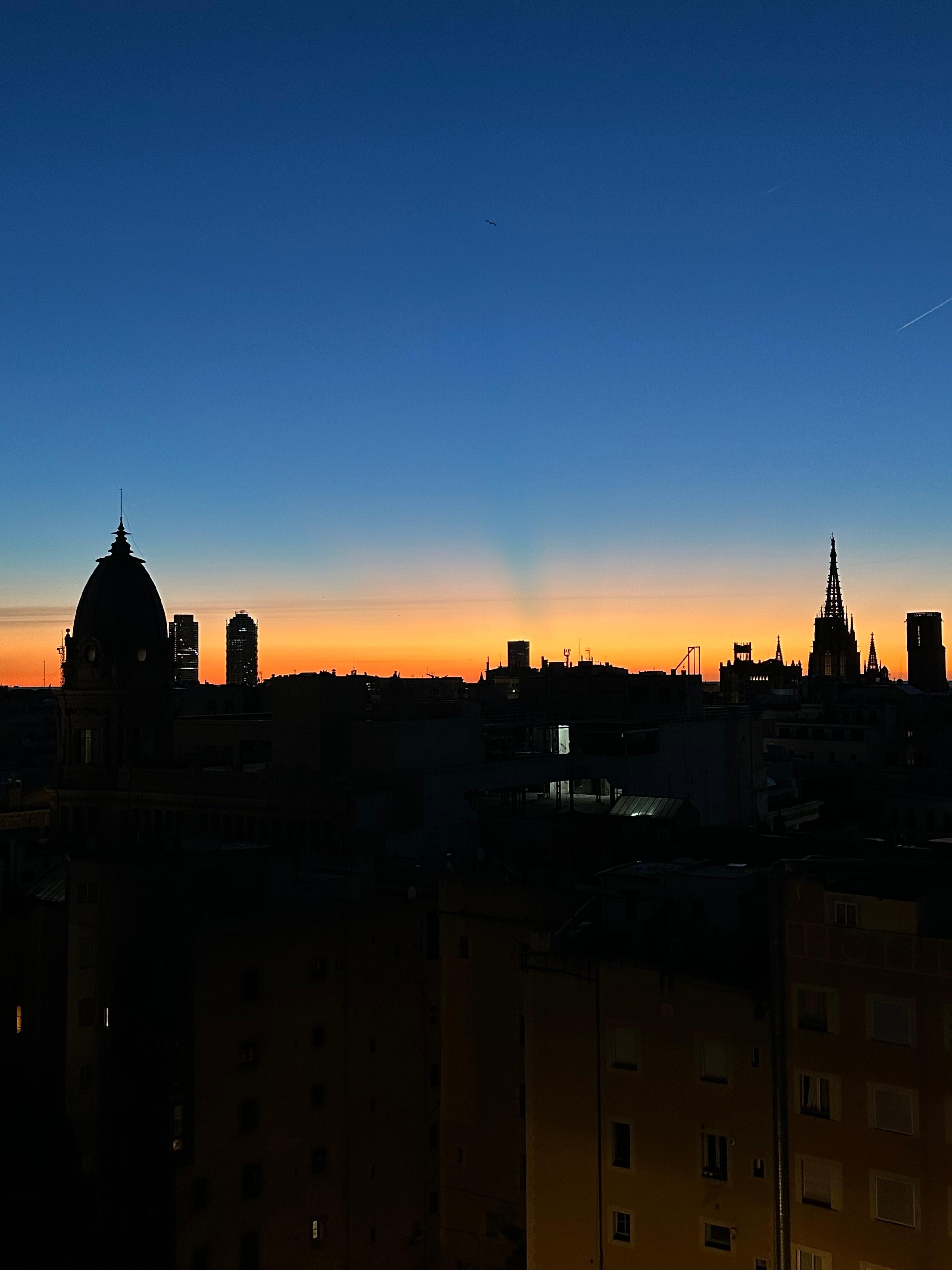 窓からの見える早朝の景色