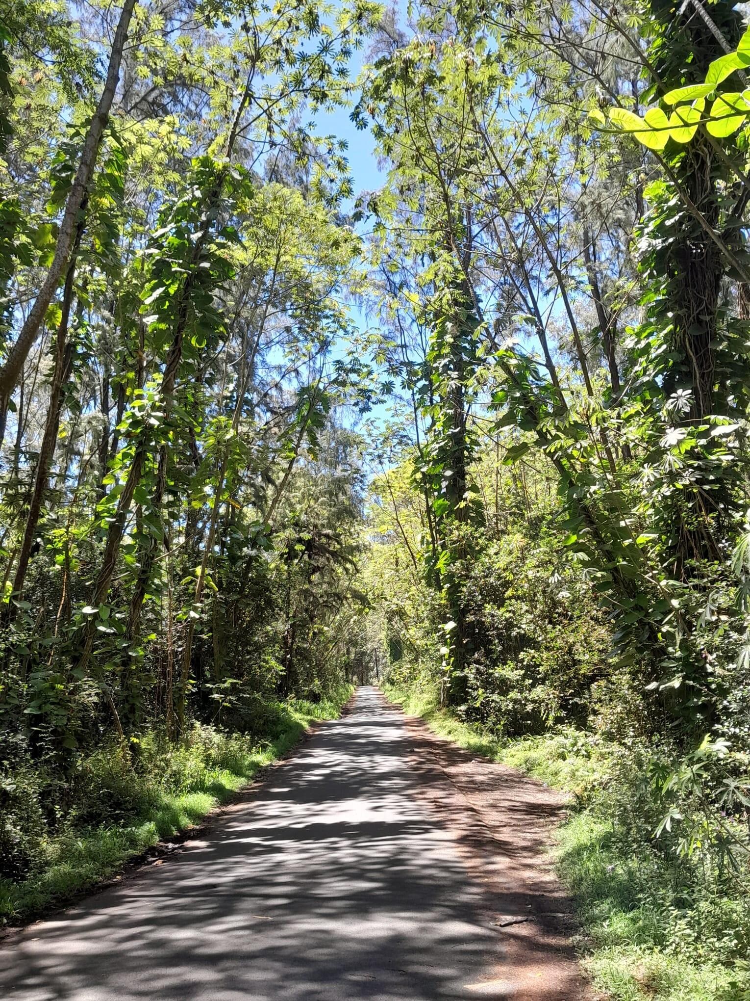 You can walk this road each day. 