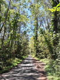 You can walk this road each day.