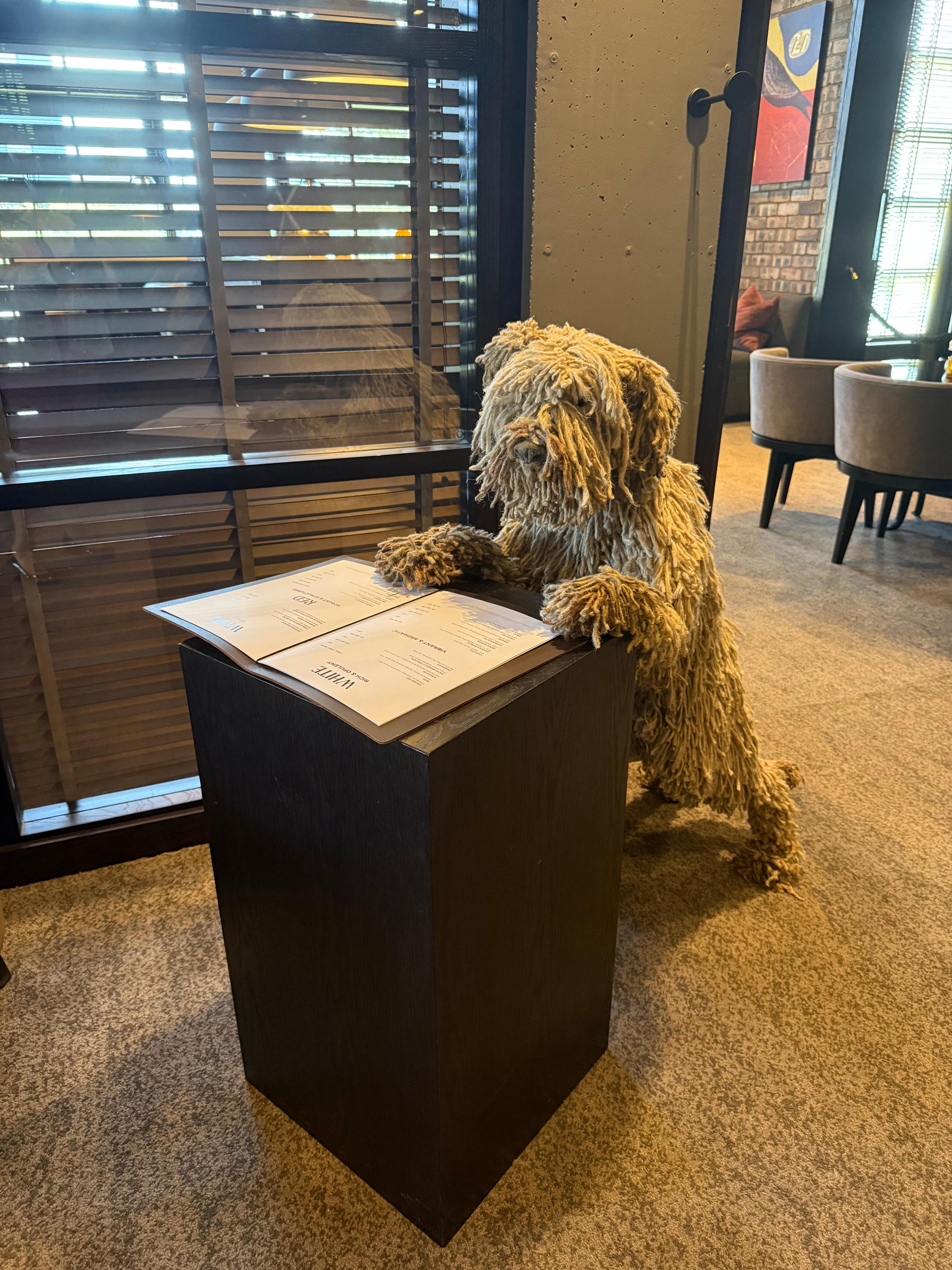 This is Bridges the dog 