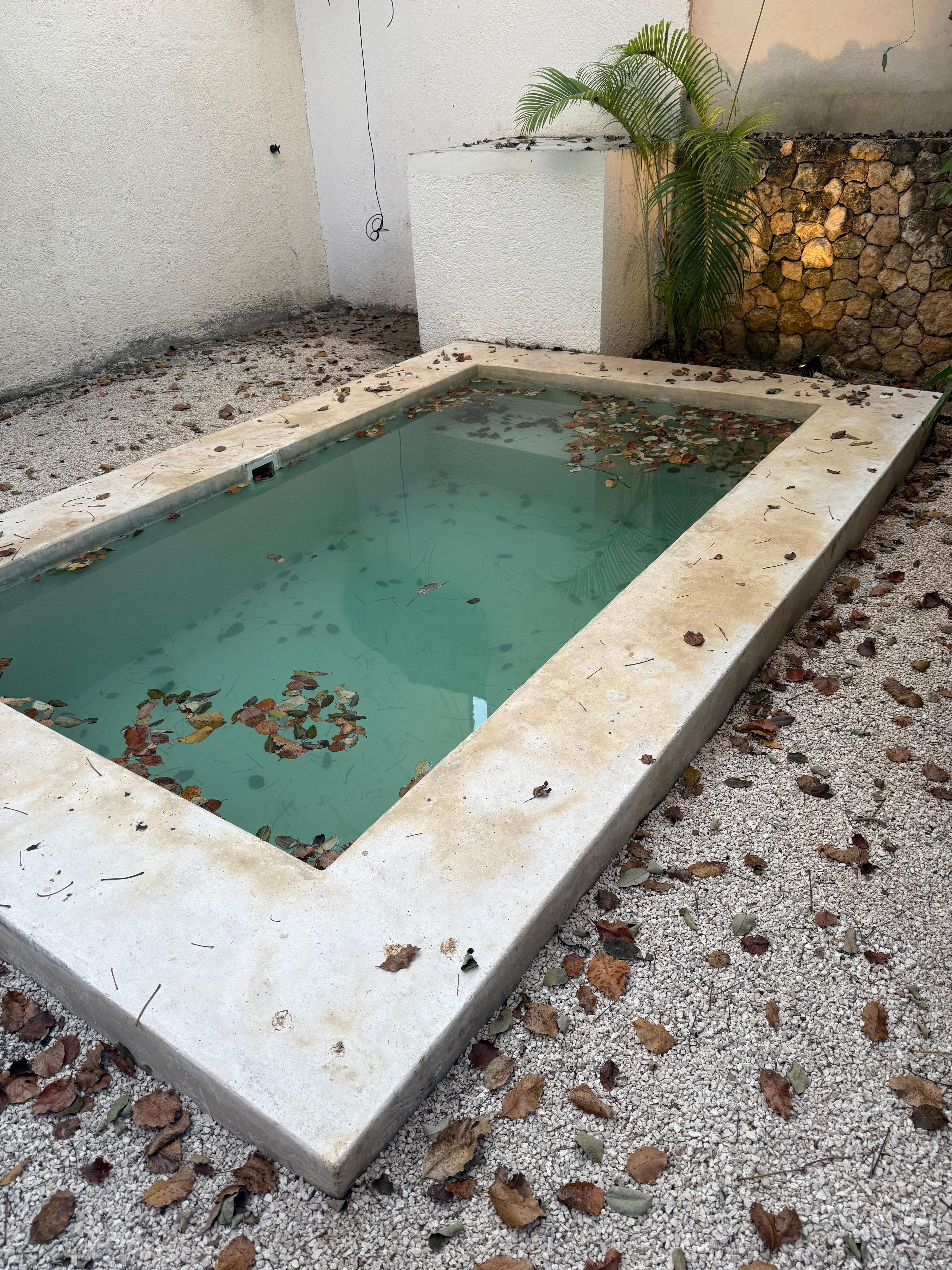 Better pool maintenance needed daily 