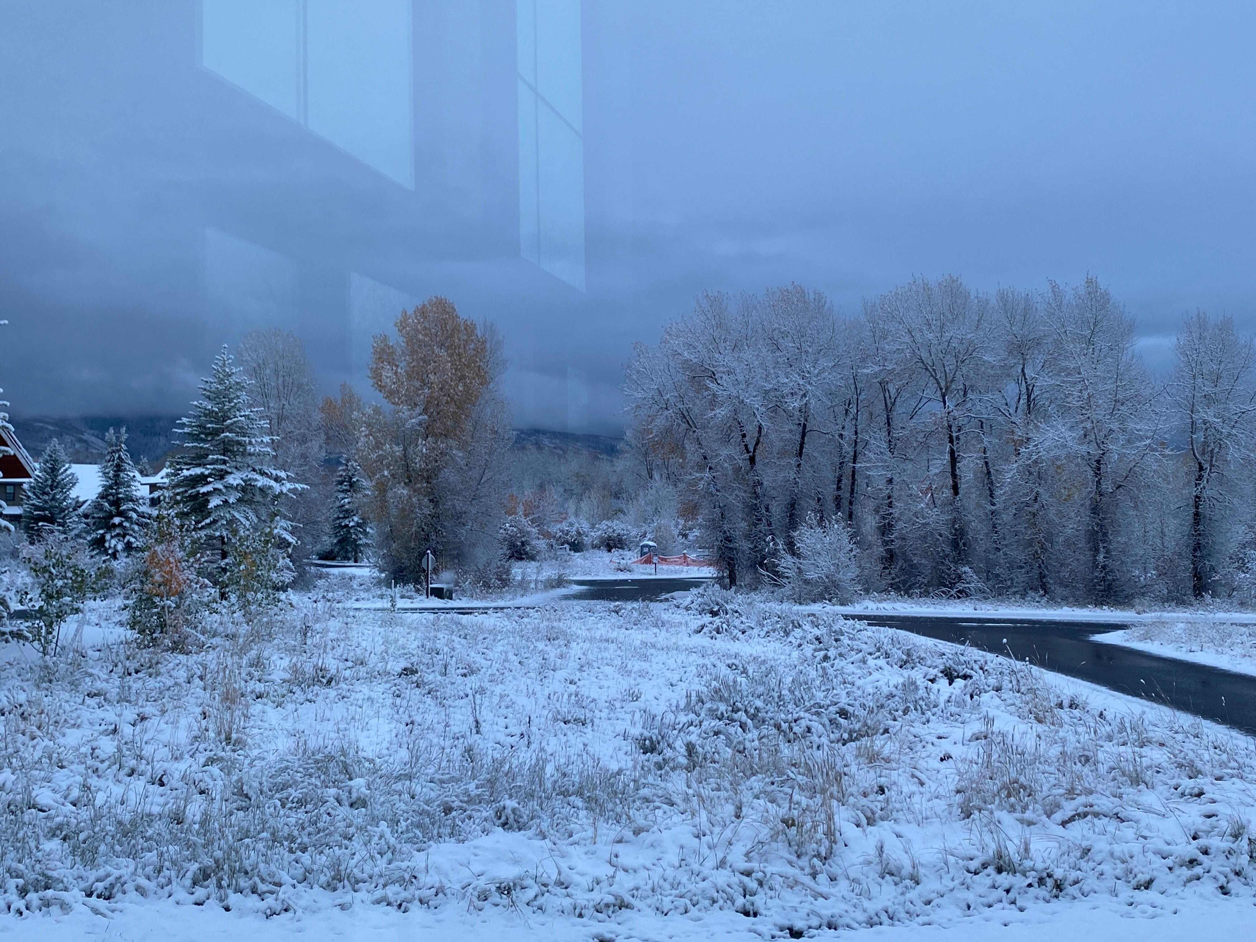 view from living room