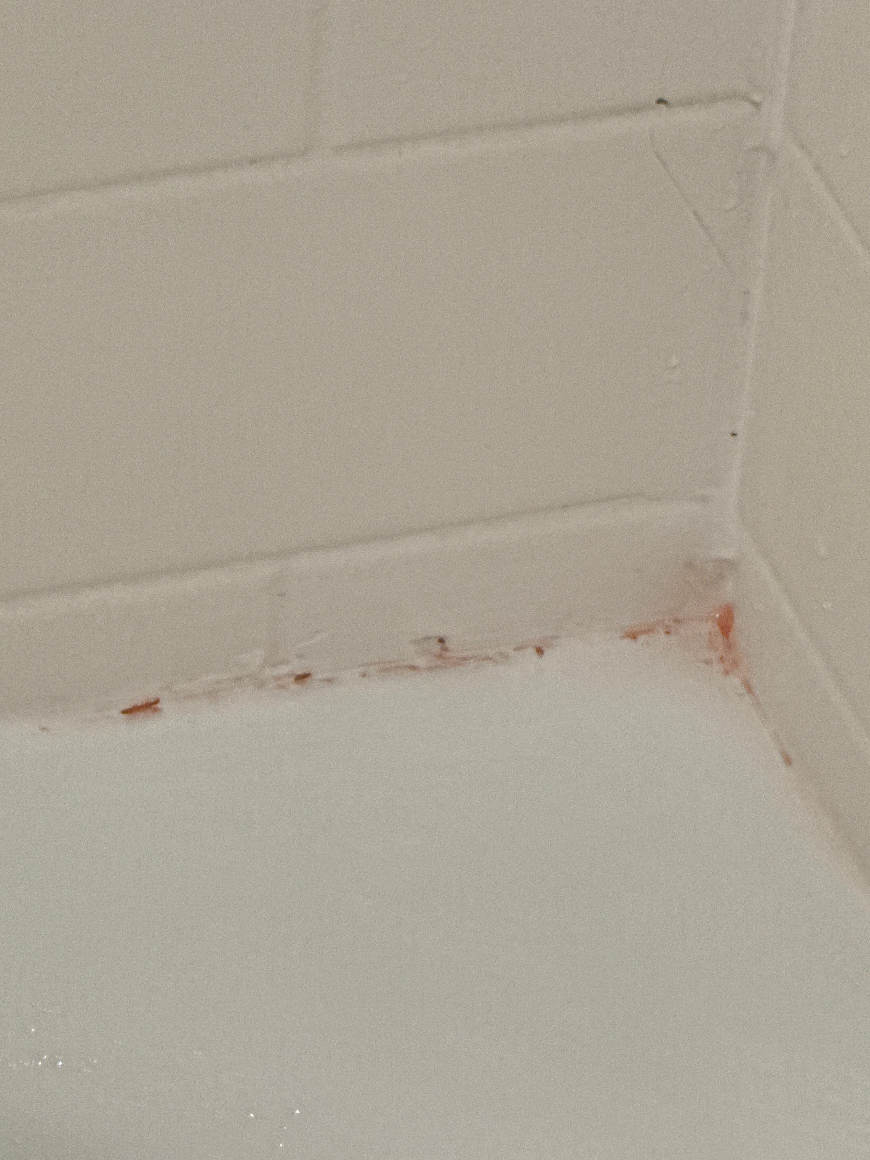 Pink mold