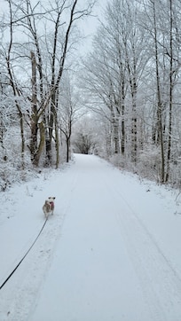 My dog enjoys her walks twice a day while we were at the home.