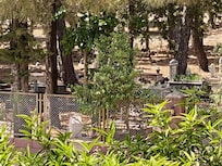 cemetery view...I see dead people!!