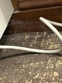 Spider web that has been sitting there for a while.