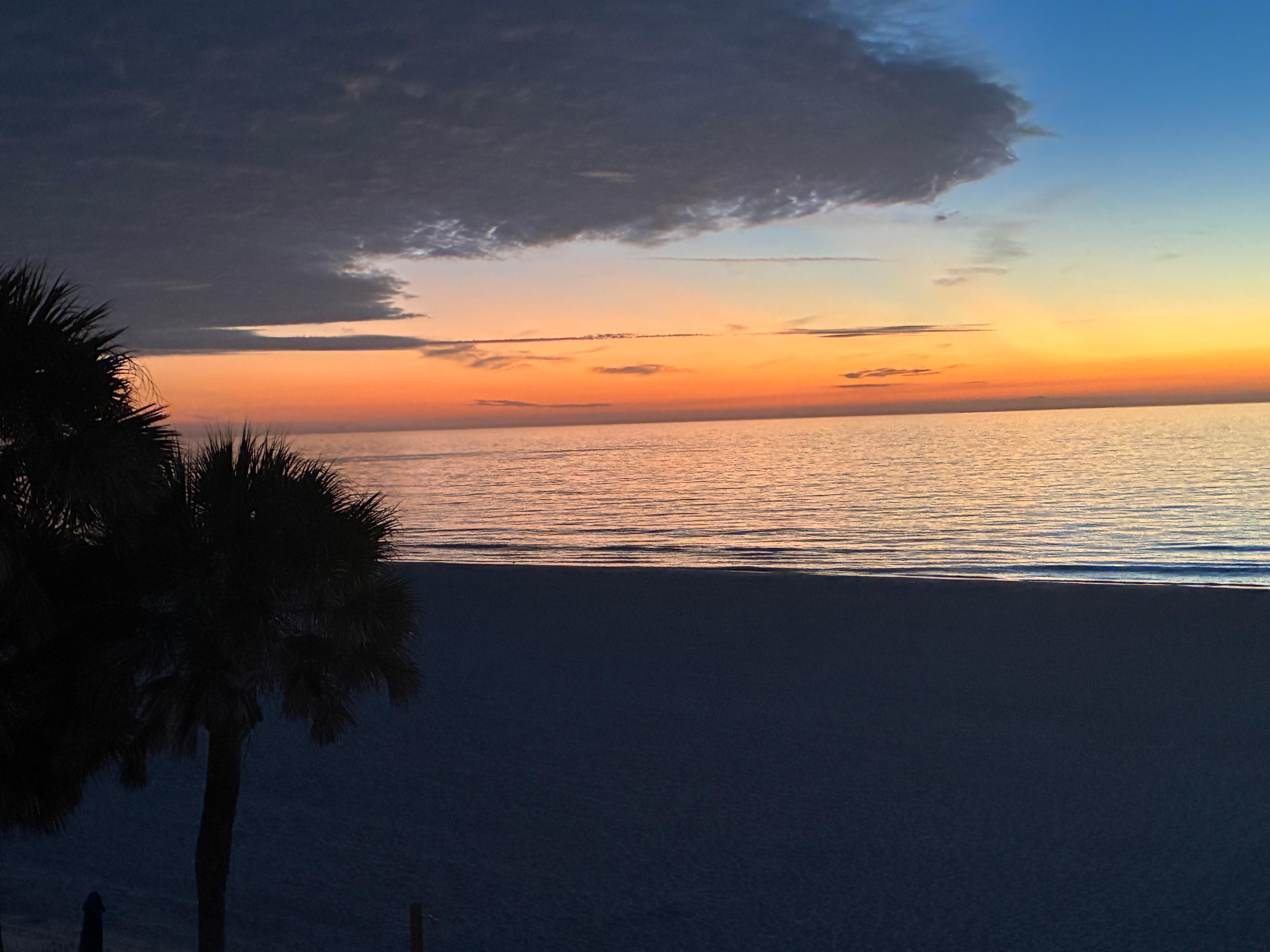 November sunsets are the best!