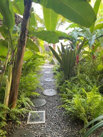 Photos of hotel and beach