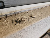 Weed roach