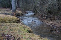 Brook a couple yards behind the house