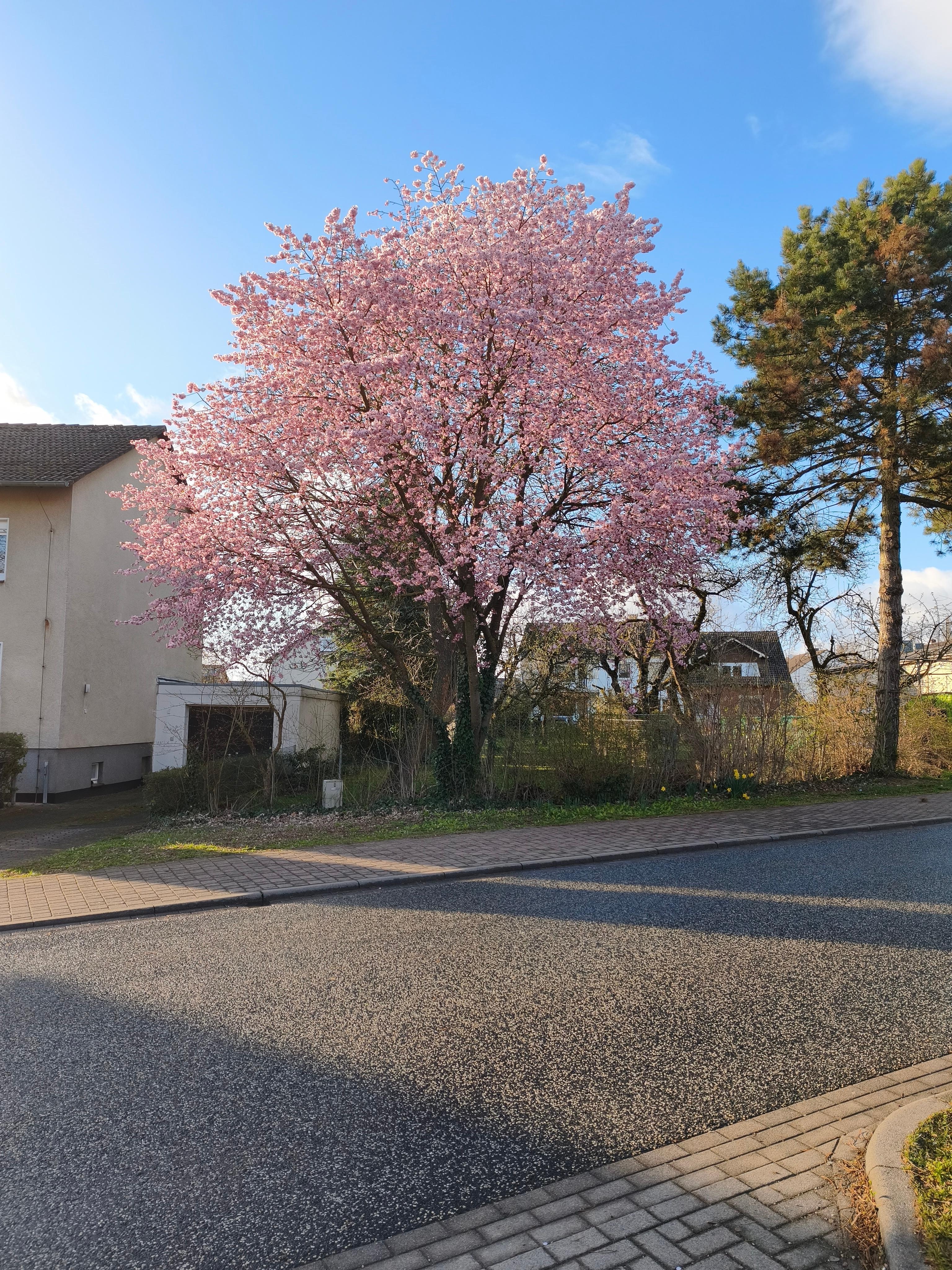 Aussicht vom Küchenfenster