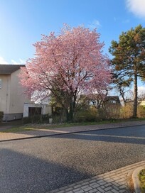 Aussicht vom Küchenfenster