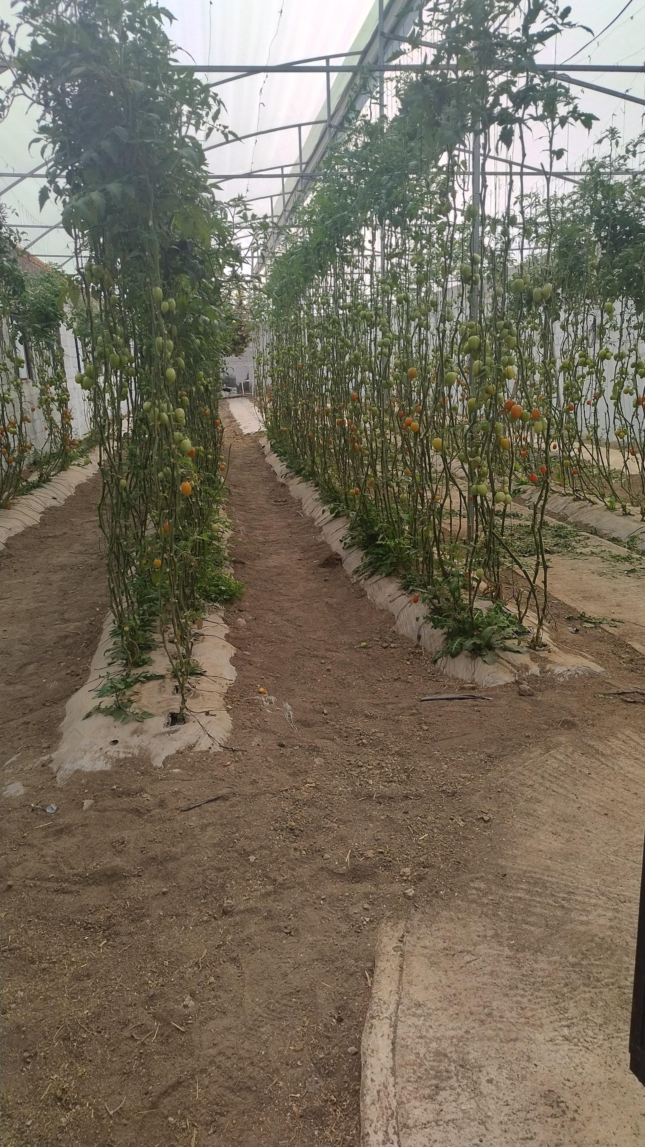 Relación increíble con la naturaleza 