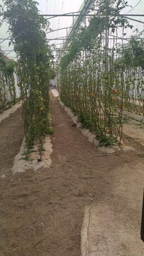 Relación increíble con la naturaleza