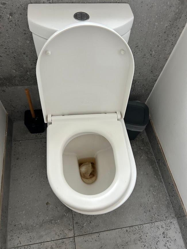 inside toilet