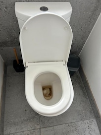 inside toilet