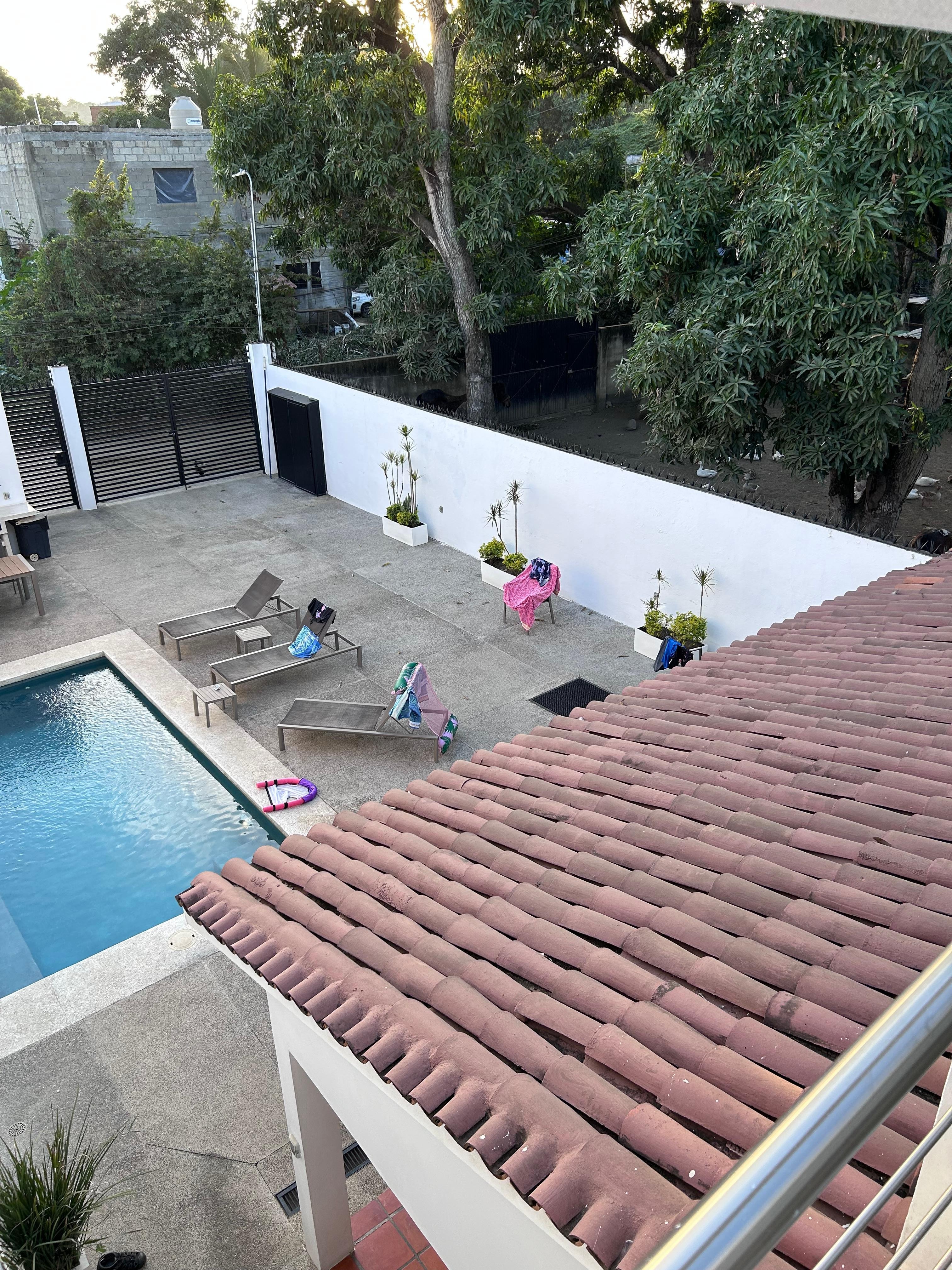 Farm next door lots of animal sounds 24/7