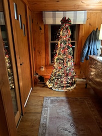 Beezer watching the rain.