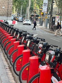 The city is teeming with bikers and walkers