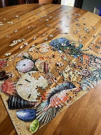 Working on a puzzle in our "free" time...