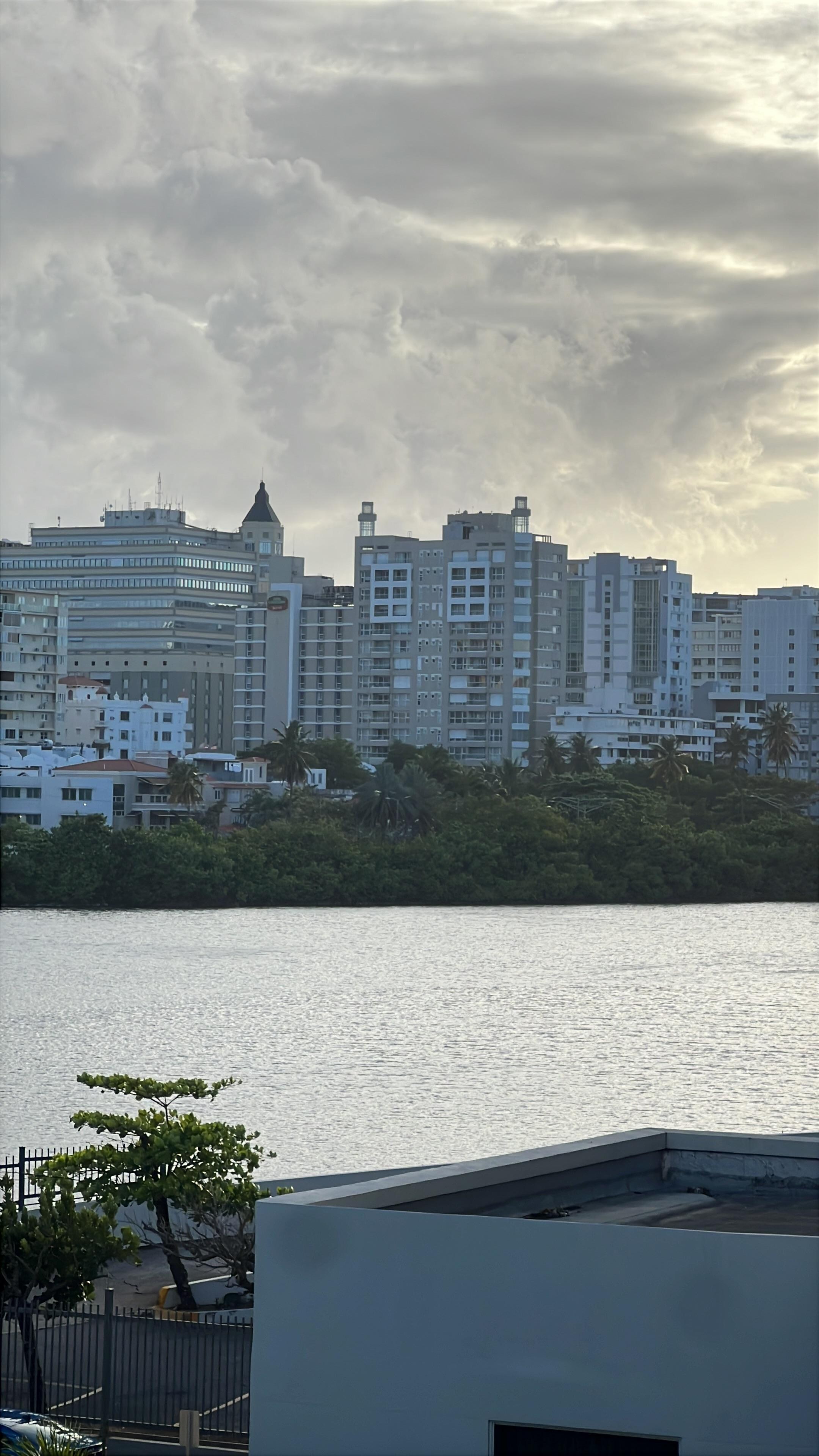 Vista desde la habitación 
