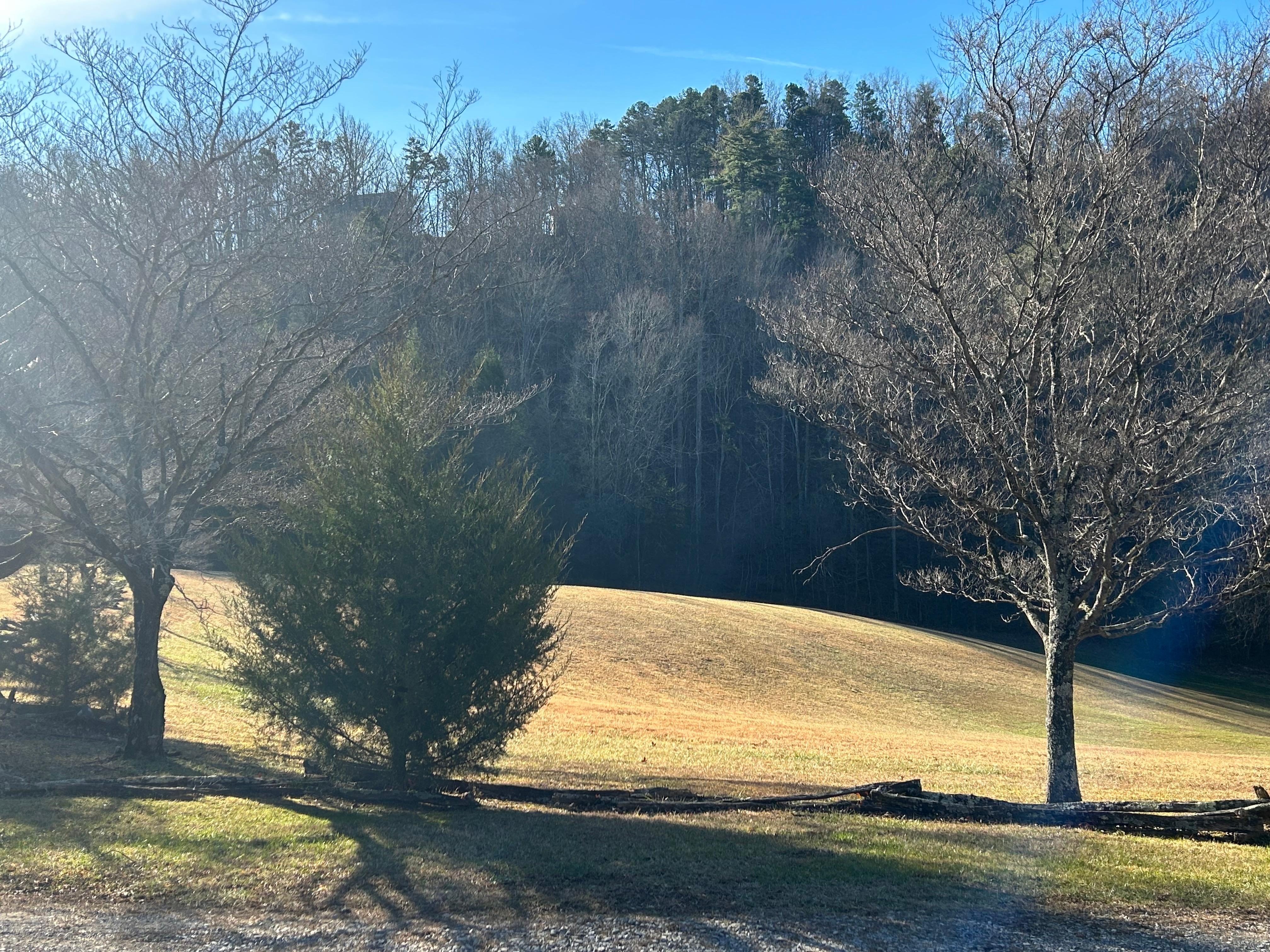 View from front porch 