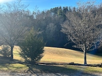View from front porch